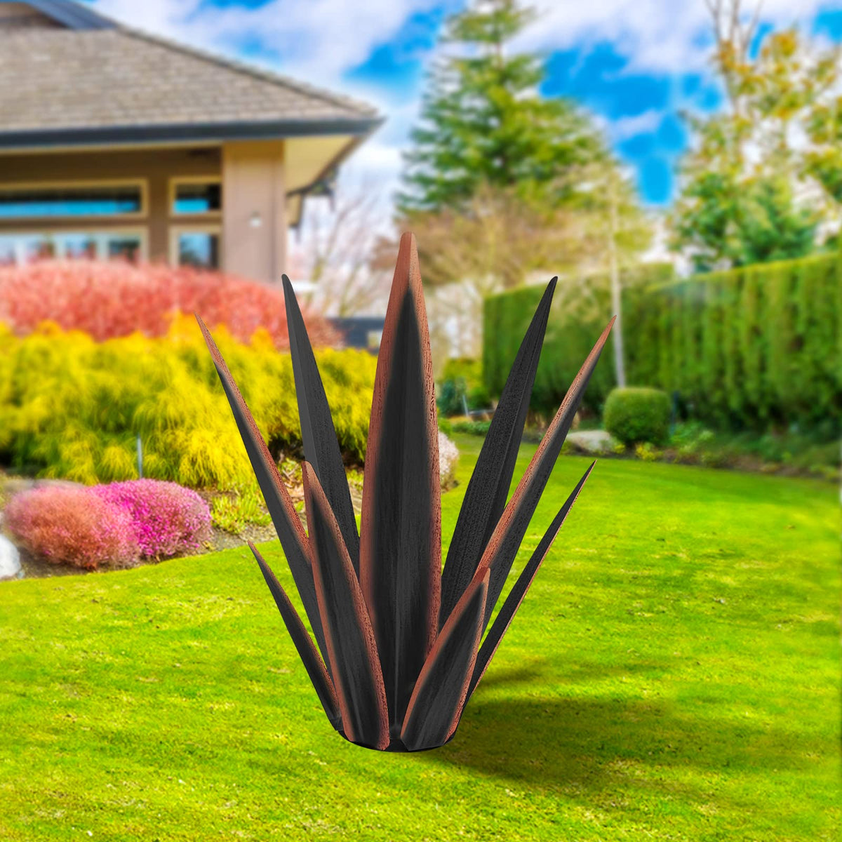 Backyard Decor